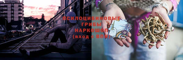амф Верхний Тагил
