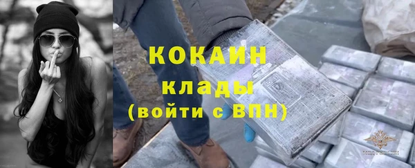 амф Верхний Тагил