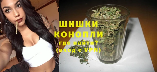 амф Верхний Тагил