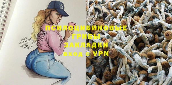 амф Верхний Тагил