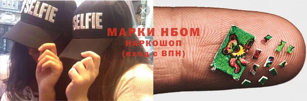 амф Верхний Тагил