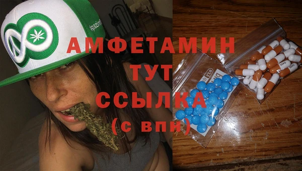 амф Верхний Тагил
