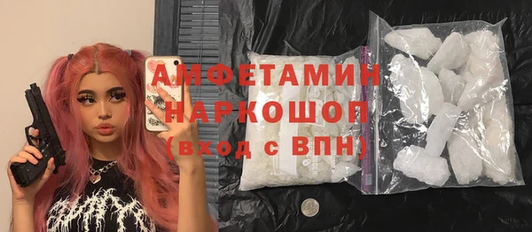 амф Верхний Тагил