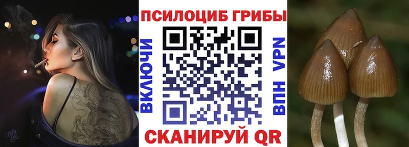 omg ТОР  Новоульяновск  Псилоцибиновые грибы ЛСД 